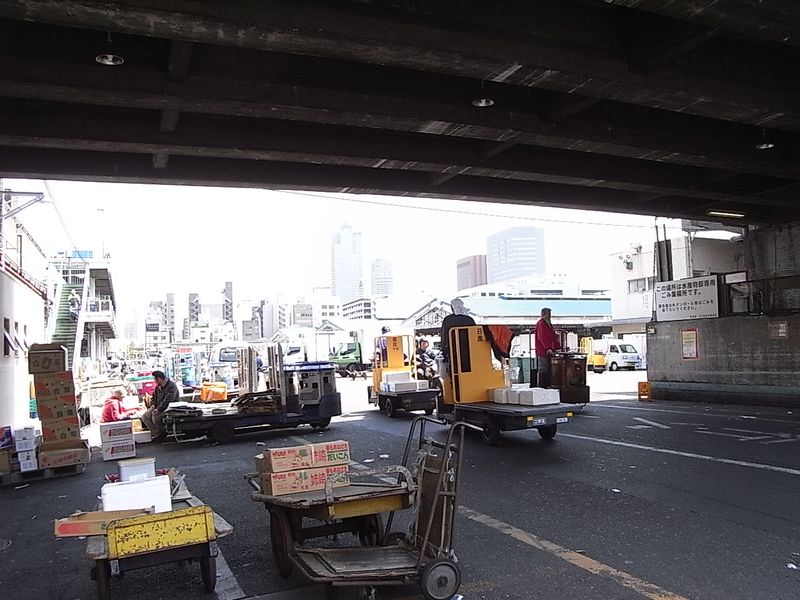 Tsukiji Market (5)