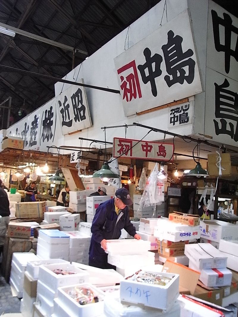 Tsukiji Market wholesale area (5)