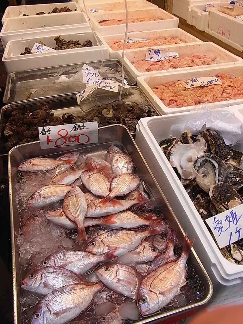 Tsukiji Market wholesale area (11)