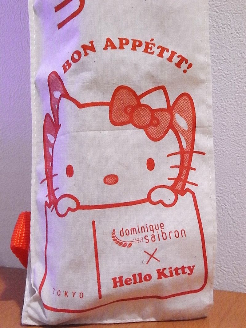 Hello KittyxDominique Saibron (2)