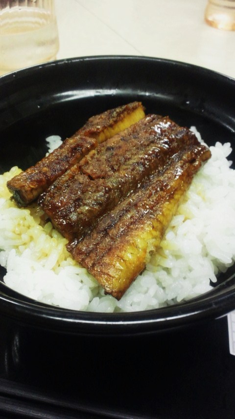 Yoshinoya Unagi