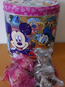 Tokyo Disneyland souvenir (12)