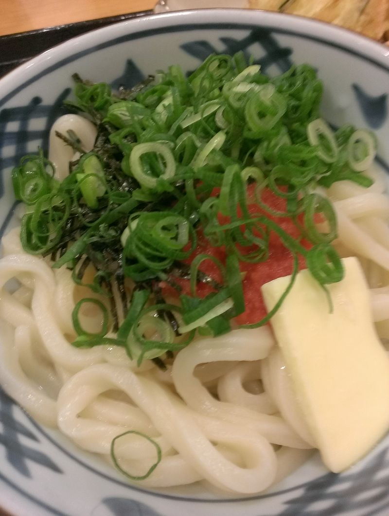 Seto Udon (4)