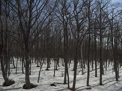 20140428 Shiretoko National Park (4)