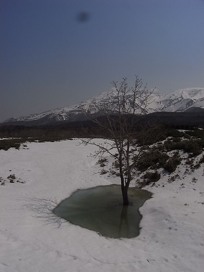 20140428 Shiretoko National Park (18)