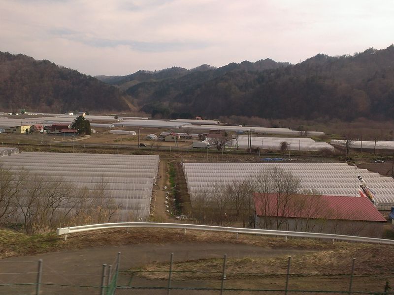 20140430 15 Yubari melon farm (11)