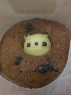 Shiretoko Doughnut (5)