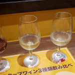 OsakaAirportWinery (4)