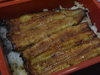 20080720_unagi_matsukawa_3